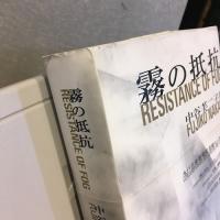 霧の抵抗 : 中谷芙二子展