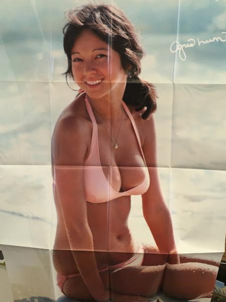 アグネス・ラム写真集 : Theグラビアアイドル楽園の妖精