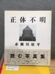 正体不明