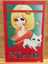 真夜中の仔猫