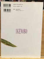 中村宗雄の立華 : 池坊・花守人のいけばな