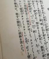 小説　新橋情話　