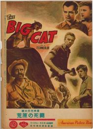 PB0387 映画パンフ「高原の死闘」 フィル・カールソン ロン・マカリスター American Picture News 1951