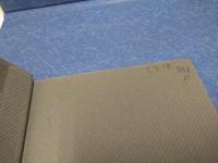 バルカン・エクスプレス : 女心とユーゴ戦争