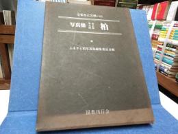 写真集明治大正昭和柏 : ふるさとの想い出　213