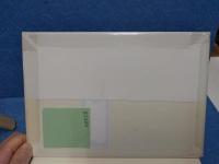 ストライキ! : アメリカの大衆ラジカリズム