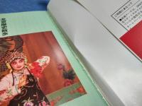 北京歴史散歩 : 中国史の表舞台を見てまわる