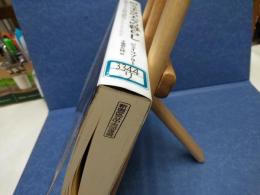 向こう半分の人々の暮らし : 19世紀末ニューヨークの移民下層社会