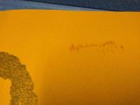 京都法然院歳時記