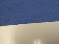 スーザン・ソンタグの『ローリング・ストーン』インタヴュー