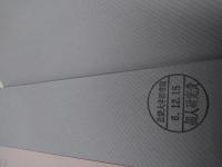 ワイマル日記 : 1918-1937