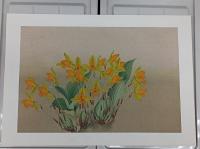 蘭花譜