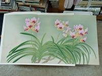 蘭花譜