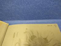 図説世界史を変えた50の植物