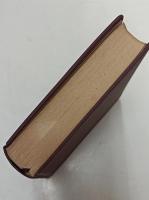 詳訳聖書 : 新約