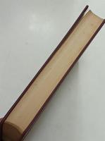 詳訳聖書 : 新約
