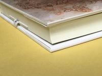 見える自然と見えない自然 : 環境保護・自然の権利・自然哲学