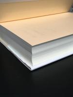 自己を超えて : ウィトゲンシュタイン、ハイデガー、レヴィナスと言語の限界