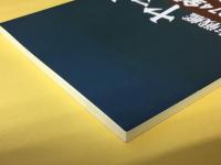 ロトさんの本　VOL.42　宇宙戦艦ヤマト1974全話解説　