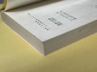 悪夢の化身 : 恐怖の一世紀2