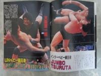 全日本プロレス　スーパー・パワー・シリーズ’86　ザ・ロード・ウォリアーズ　長州力　タイガーマスク　ミル・マスカラス　ハーリー・レイス　タイガー・ジェット・シン