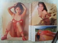 アクトレス　127号　細川ふみえ・渡辺ゆか・具志堅ティナ・立野しのぶ・吉岡真由美・手塚莉絵・可愛静果・三浦綺音・高倉みなみ・秋本詩織