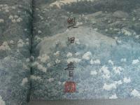 大雪山のお花畑　山溪ネイチュア・ブックス７