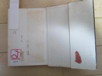 小説　天皇裕仁　隠された昭和史