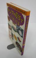アジアの屋台でごちそうさま