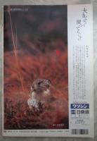 週刊大衆　2053号　細川しのぶ・山口組暴発寸前で大企業の戦々恐々