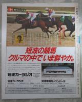 週刊　競馬ブック　542号　第12回高松宮杯　…　カズシゲ・カツアール・サンエイソロン・ロイヤルスズラン　第31回ラジオたんぱ賞　…　アキビンゴ・ハザマオー・ハーバーエリート・メジロアンタレス
