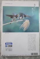 週刊大衆　1921号　桜田淳子、山崎浩子集団結婚式・山口組親分守れの大合唱・デーブ大久保の全秘密・田村英里子を全部ムイちゃえ・AV淫乱大評判10人集