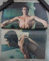 BRUCE  LEE  HIS UNKNOWNS IN MARTIAL ARTS LEARNING　ポートレート1枚付