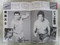 全日本プロレスリング創立満15周年記念　’87ジャイアント・シリーズ