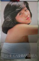 DELUXEプレイボーイ　’81SUMMERキャンペーンGAL特集号　柏原よしえ両面ピンナップ付・夏麗子・岸田麻里・大場久美子・児島美ゆき・松本ちえこ・浅野ゆう子・藤谷美和子・川島なお美・鈴木靖江・山地美貴・梓かおり・城戸真亜子・伊藤京子・蓬田美奈子・志穂美悦子・薬師丸ひろ子・倉吉朝子