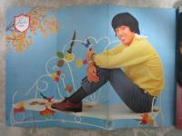 ザ・タイガース 　ピンナップ・雑誌切り抜き 中島健人 18 切り抜き74pピンナップ1枚sexy zone timelesz