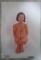 ポルノの時代　芹明香・白川和子・田中真里・片桐夕子・青山美代子・高木亜紀・碧川ジュン・二條朱実・叶優子・相川圭子・潤ますみ・続圭子・衣麻遼子・立野弓子・女屋実和子・杉本美樹・梢ひとみ