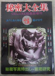 秘密大全集　DELUXE総集版増刊　ありとあらゆるセックス総がかり　モデル36名総写真334枚