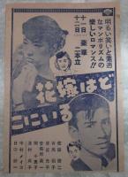 花嫁はどこにいる　佐田啓二・有馬稲子　/　旗本退屈男　謎の伏魔殿　市川右太衛門・喜多川千鶴