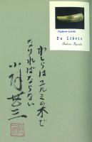 小説 くじら学校