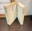水の声 : 日本画家松永光玉伝
