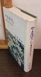 やまぼうし : 星野温泉のあゆみ
