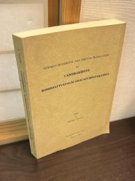 月称造「四百論釈」梵文断片テキストとそのチベット語訳　Sanskrit Fragments and Tibetan Translation of Candrakirti's Bodhisattvayogacaracatuhsatankatika
