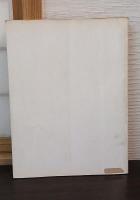 写真でみる鉄道車両100年