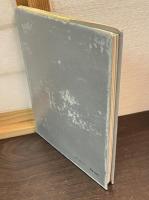 現代若手歌舞伎俳優集