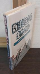 数はどこから来たのか : 数学の対象の本性に関する仮説