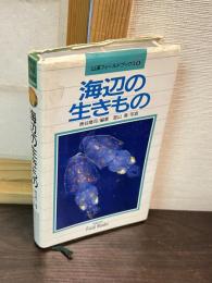 海辺の生きもの