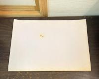 瀬戸内海に関する図書総合目録