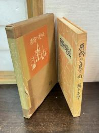 原野から見た山