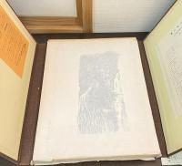 野に叫ぶ人々 : 足尾銅山鉱毒事件連作版画集